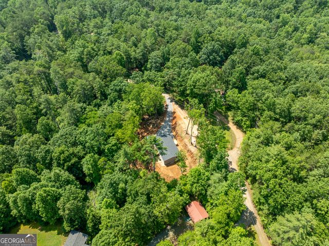 134 Double Line Road, Ellijay, GA 30540