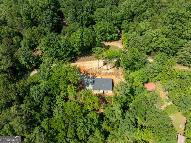 134 Double Line Road, Ellijay, GA 30540