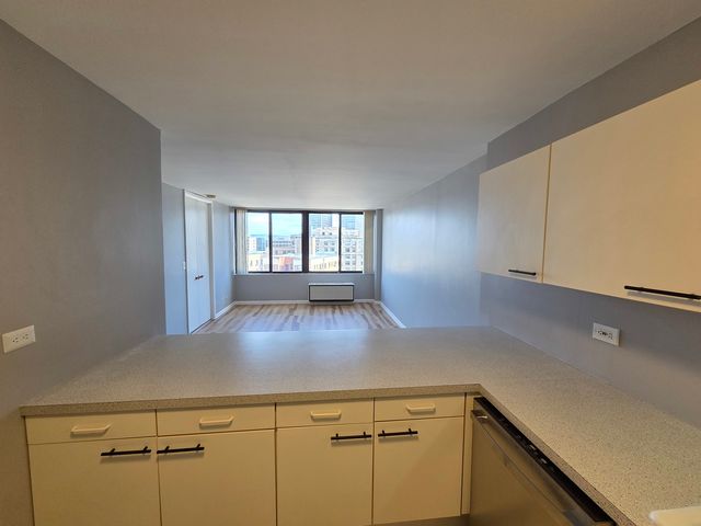 2754 N Hampden Court 1407, Chicago, IL 60614