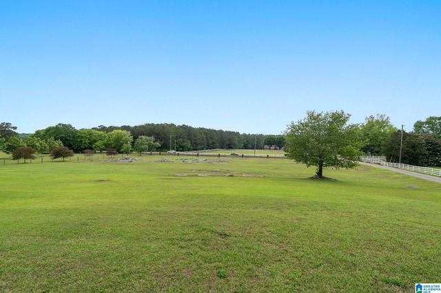 3040 CAHABA VALLEY ROAD, Indian Springs Village, AL 35124