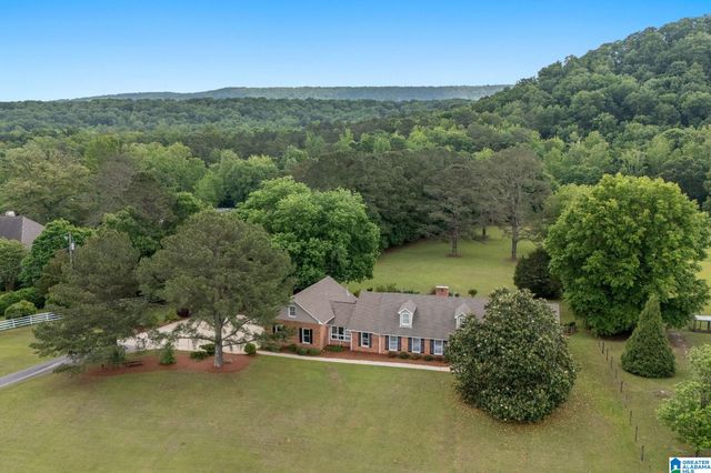 3040 CAHABA VALLEY ROAD, Indian Springs Village, AL 35124