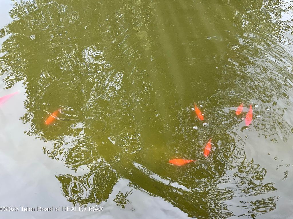 MUDDY STRING Road, Thayne, WY 83127 photo 36