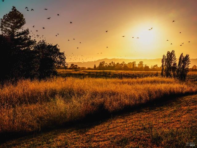 21831 Schellville Rd, Sonoma, CA 95476