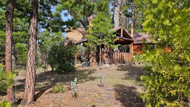 46336 Silvertip Way, North Fork, CA 93643