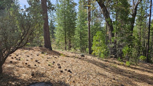46336 Silvertip Way, North Fork, CA 93643