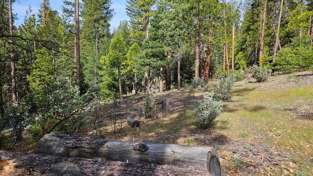 46336 Silvertip Way, North Fork, CA 93643