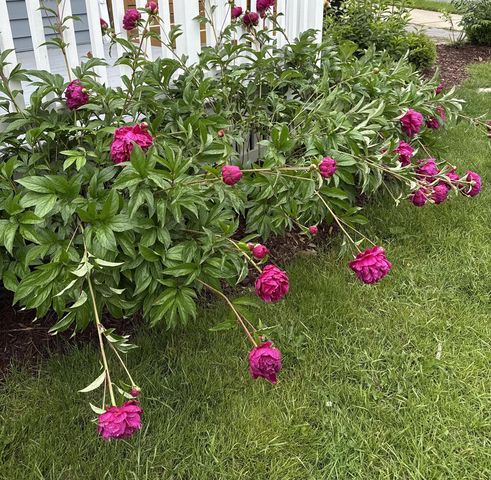 2801 E Rhode Island AVENUE, Milwaukee, WI 53207