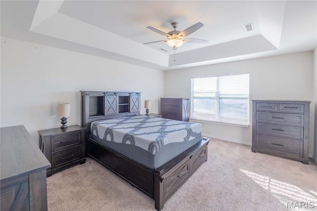 3945 Beechmont Circle, Belleville, IL 62226