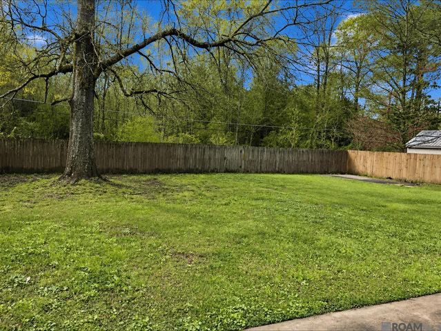 13176 Brian Park Dr, Walker, LA 70785