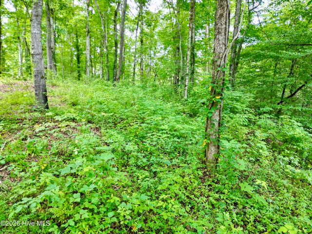 7 Heaton Road, Marble, NC 28905
