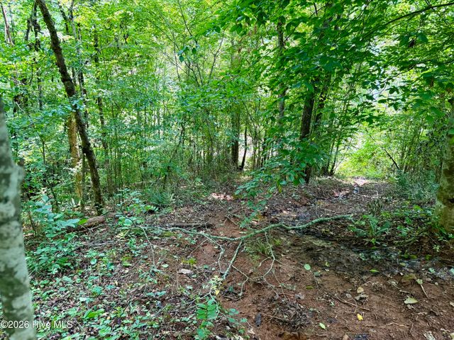 7 Heaton Road, Marble, NC 28905