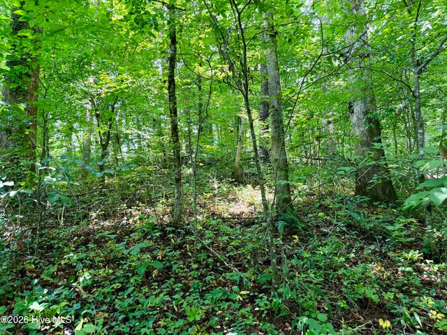 7 Heaton Road, Marble, NC 28905