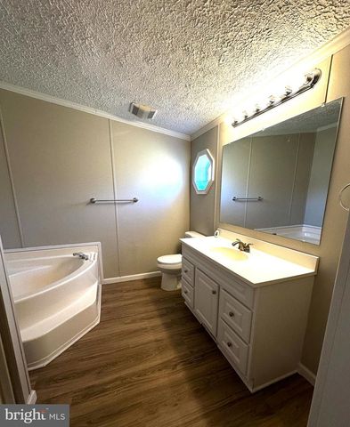 11433 TRUSSUM POND RD, Laurel, DE 19956