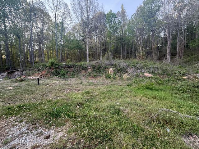 475 Hicks Hollow Road, Guild, TN 37340