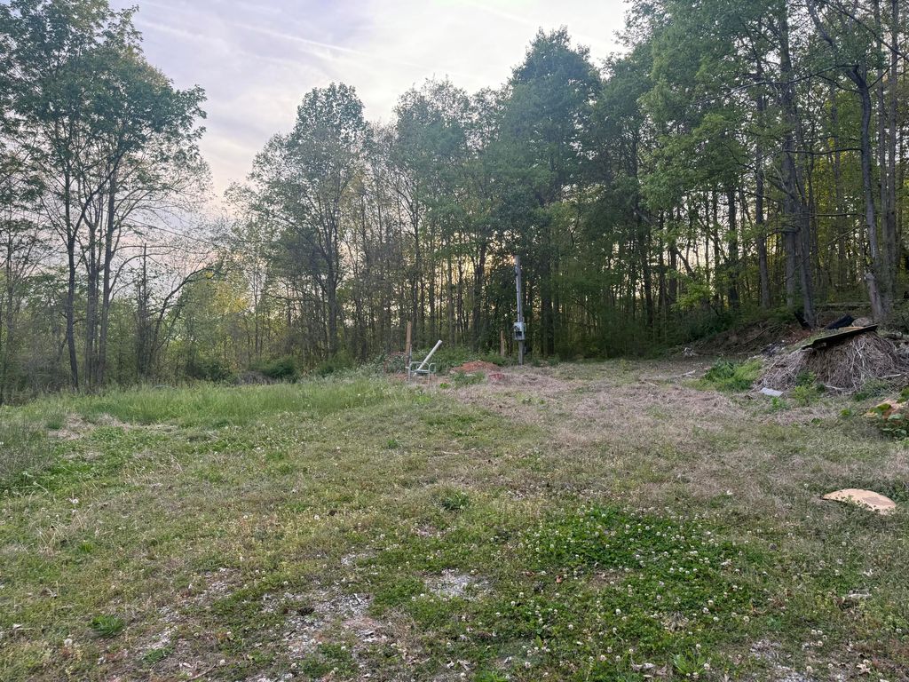 475 Hicks Hollow Road, Guild, TN 37340
