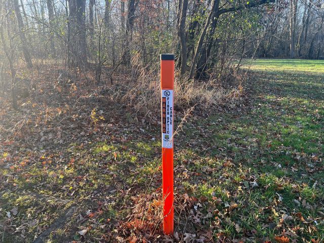 TBD Glendorado Road, Foley, MN 56329