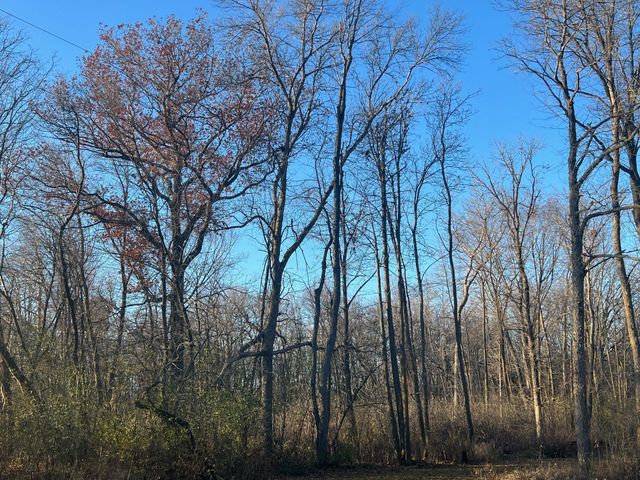 TBD Glendorado Road, Foley, MN 56329