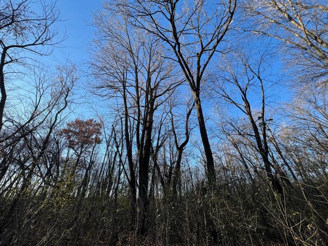 TBD Glendorado Road, Foley, MN 56329