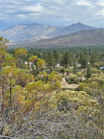 2 Goldshot Creek, Mountain Center, CA 92561