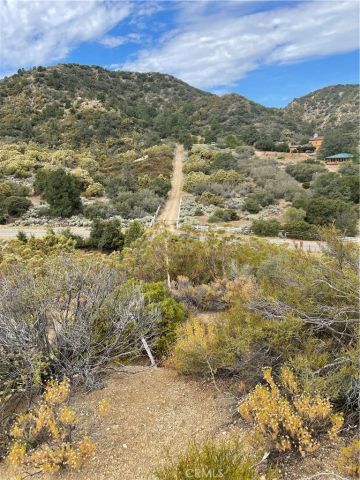 2 Goldshot Creek, Mountain Center, CA 92561