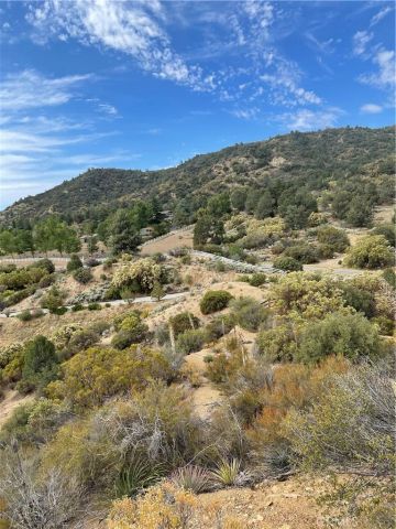 2 Goldshot Creek, Mountain Center, CA 92561