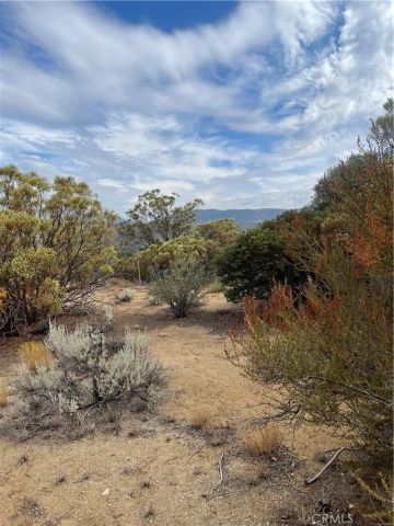 2 Goldshot Creek, Mountain Center, CA 92561