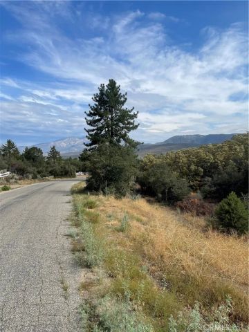 2 Goldshot Creek, Mountain Center, CA 92561