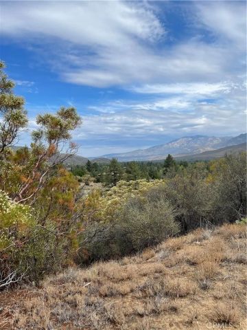2 Goldshot Creek, Mountain Center, CA 92561