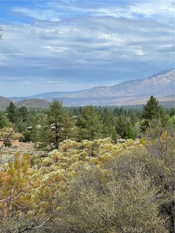 2 Goldshot Creek, Mountain Center, CA 92561