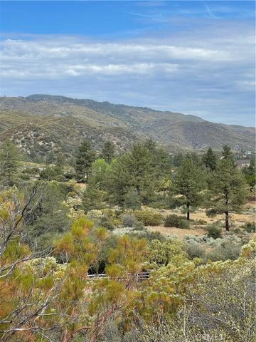 2 Goldshot Creek, Mountain Center, CA 92561
