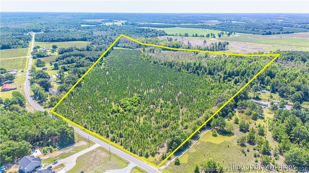 TBD Blue Springs Road, Red Springs, NC 28377 — photo 2