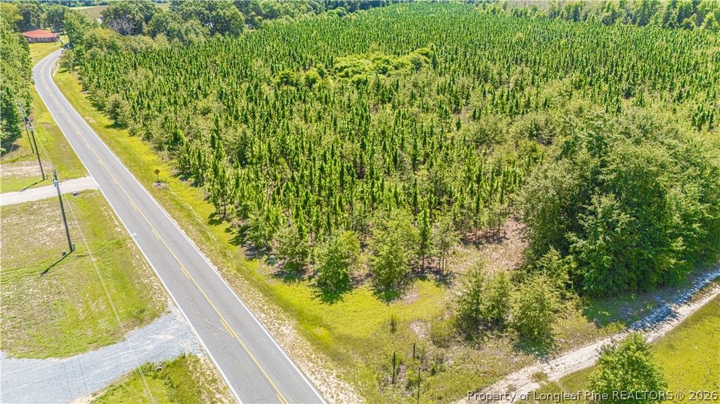 TBD Blue Springs Road, Red Springs, NC 28377 — photo 3
