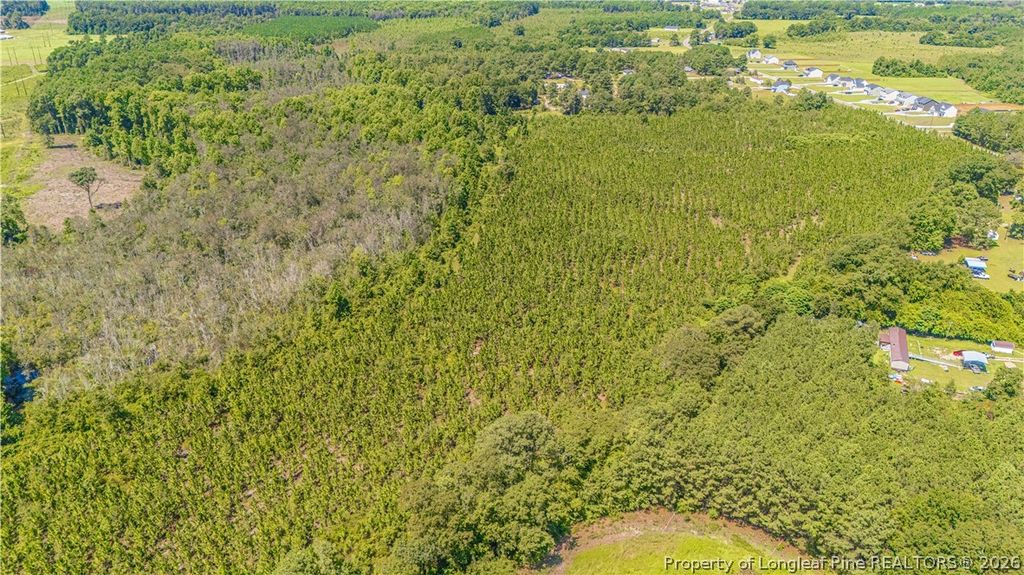 TBD Blue Springs Road, Red Springs, NC 28377 — photo 4