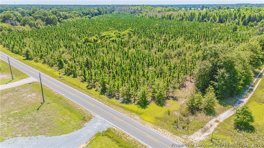 TBD Blue Springs Road, Red Springs, NC 28377 — photo 5