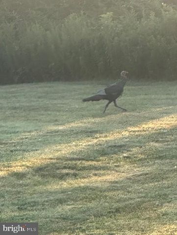 1870 GENERAL POTTER HWY, Centre Hall, PA 16828