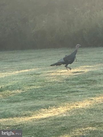 1870 GENERAL POTTER HWY, Centre Hall, PA 16828