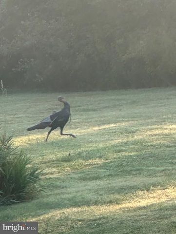 1870 GENERAL POTTER HWY, Centre Hall, PA 16828