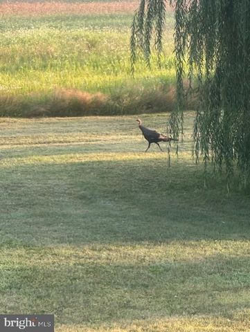 1870 GENERAL POTTER HWY, Centre Hall, PA 16828