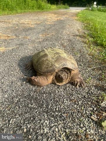 1870 GENERAL POTTER HWY, Centre Hall, PA 16828