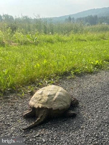 1870 GENERAL POTTER HWY, Centre Hall, PA 16828