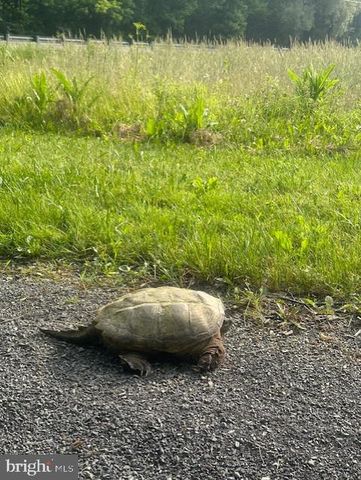 1870 GENERAL POTTER HWY, Centre Hall, PA 16828