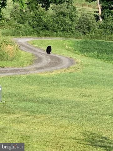 1870 GENERAL POTTER HWY, Centre Hall, PA 16828