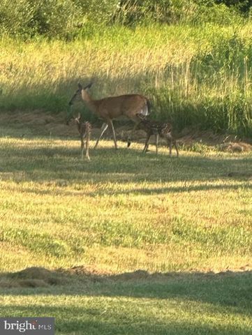 1870 GENERAL POTTER HWY, Centre Hall, PA 16828