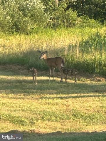 1870 GENERAL POTTER HWY, Centre Hall, PA 16828