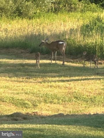 1870 GENERAL POTTER HWY, Centre Hall, PA 16828