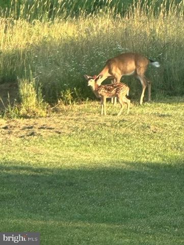 1870 GENERAL POTTER HWY, Centre Hall, PA 16828