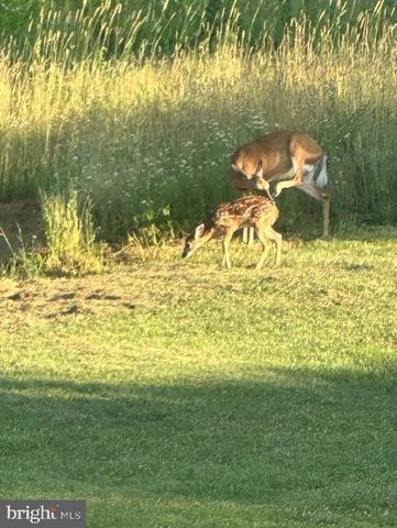 1870 GENERAL POTTER HWY, Centre Hall, PA 16828