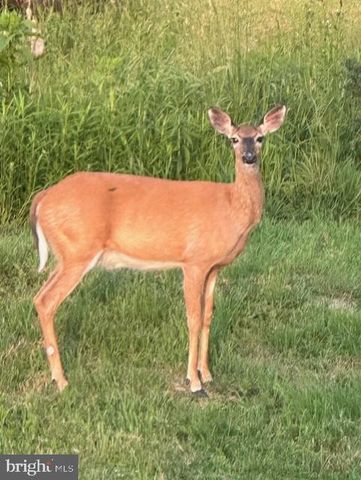 1870 GENERAL POTTER HWY, Centre Hall, PA 16828