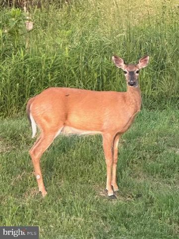 1870 GENERAL POTTER HWY, Centre Hall, PA 16828