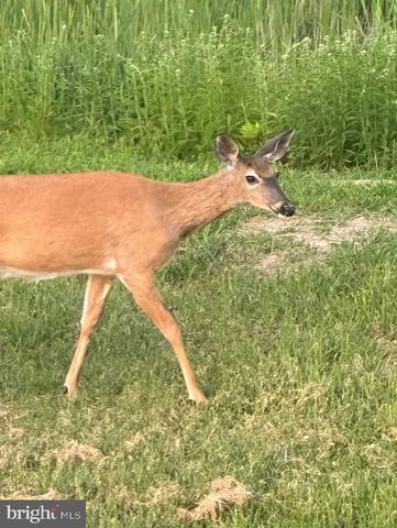 1870 GENERAL POTTER HWY, Centre Hall, PA 16828